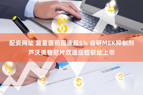 配资网址 复星医药现涨超5% 自研MEK抑制剂芦沃美替尼片双适应症获批上市