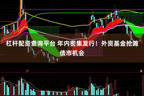 杠杆配资查询平台 年内密集发行！外资基金抢滩债市机会